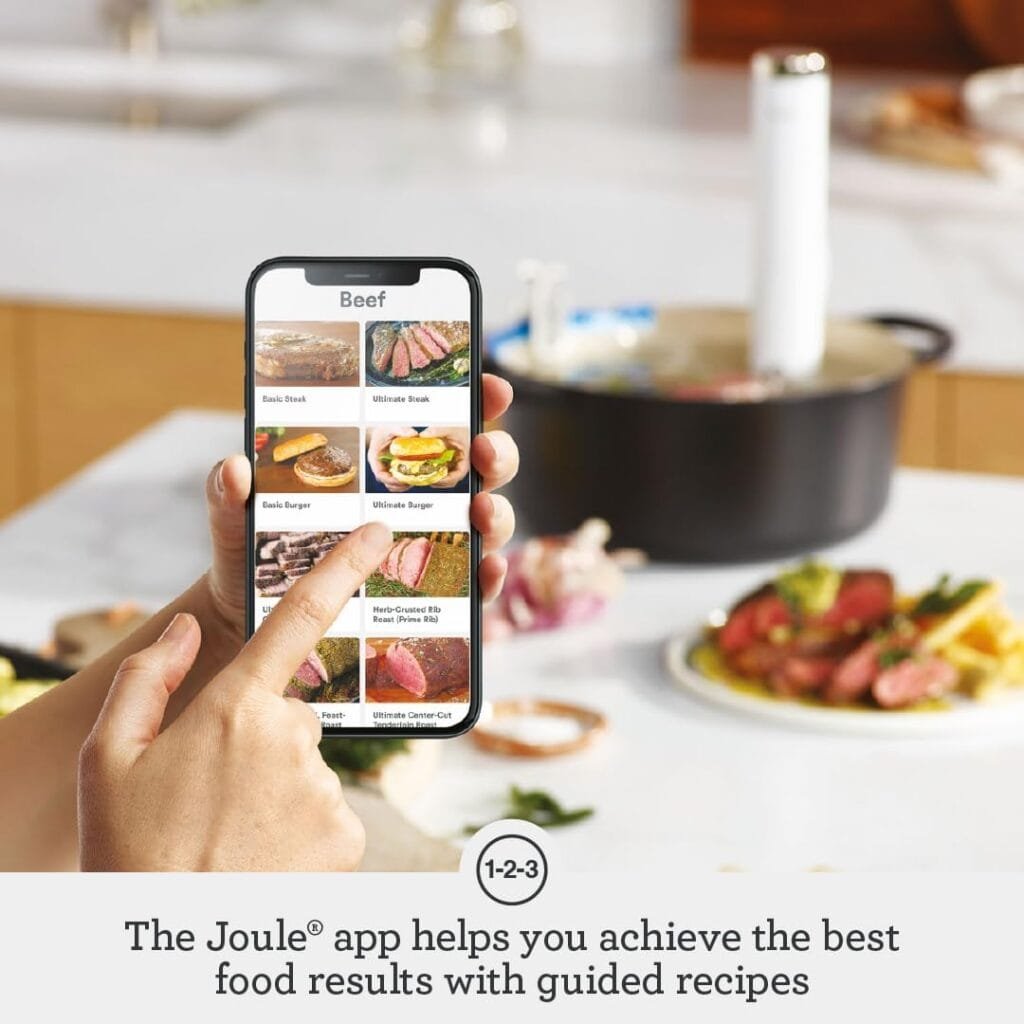 Breville the Joule Turbo Sous Vide Machine, Sous Vide Cooker, Immersion Circulators, BSV600PSS, Polished Stainless Steel