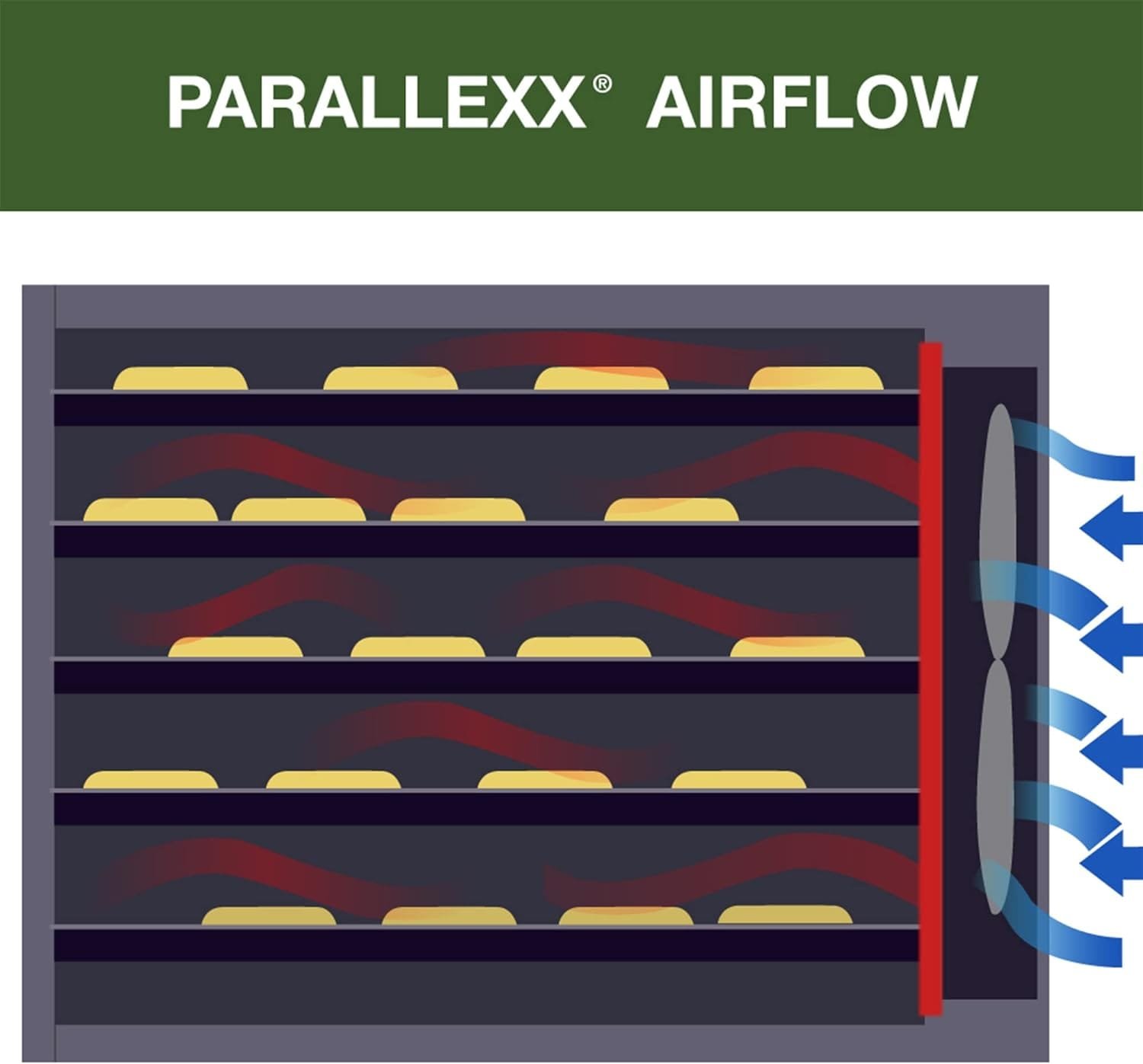 Excalibur 3926TCDB Electric Food Dehydrator Machine with Clear Door, 26-Hour Timer, Automatic Shut Off and Temperature Control, 600 W, 9 Trays, Black