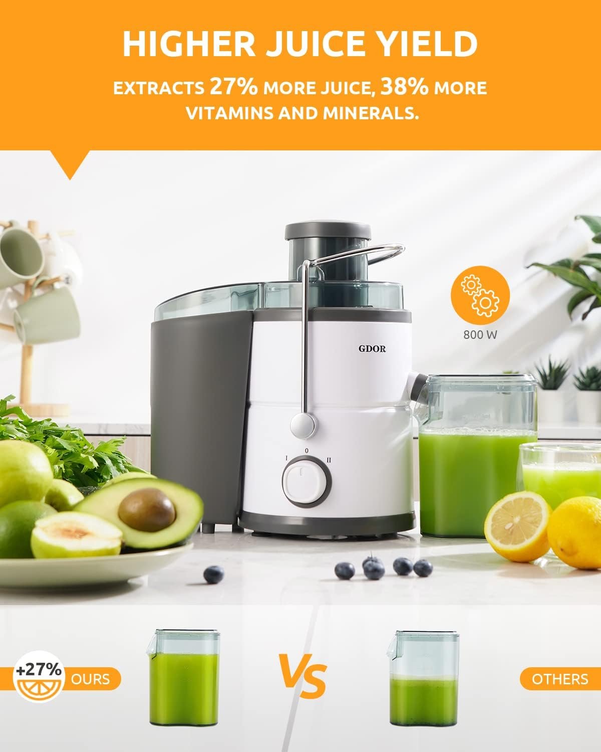 GDOR Juicer Machine 800W Motor Review post thumbnail image