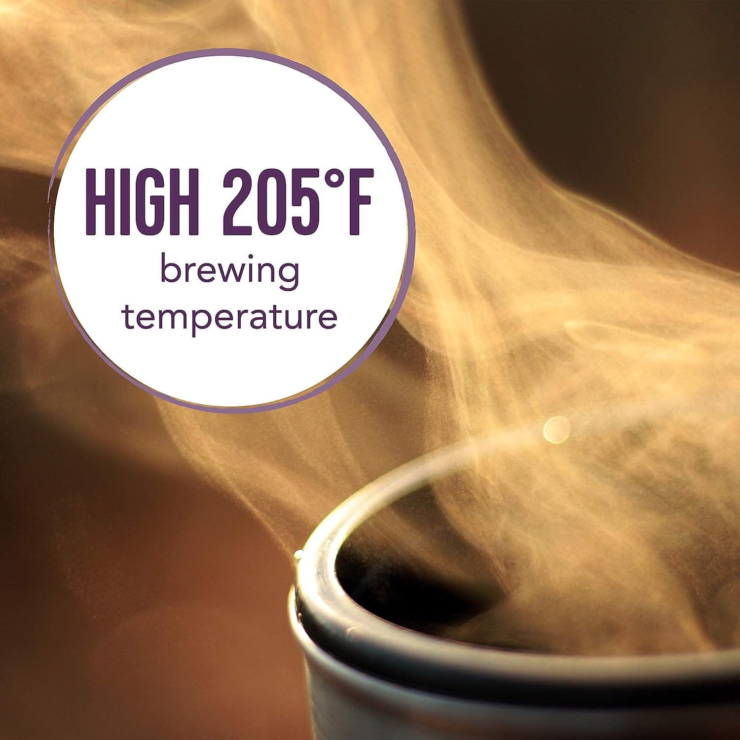 Mr. Coffee 10 Cup Thermal Programmable Coffeemaker, Stainless Steel