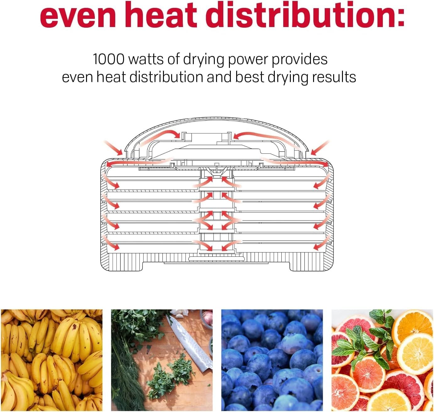 NESCO Gardenmaster Digital Pro Food dehydrator, 4 Trays, White