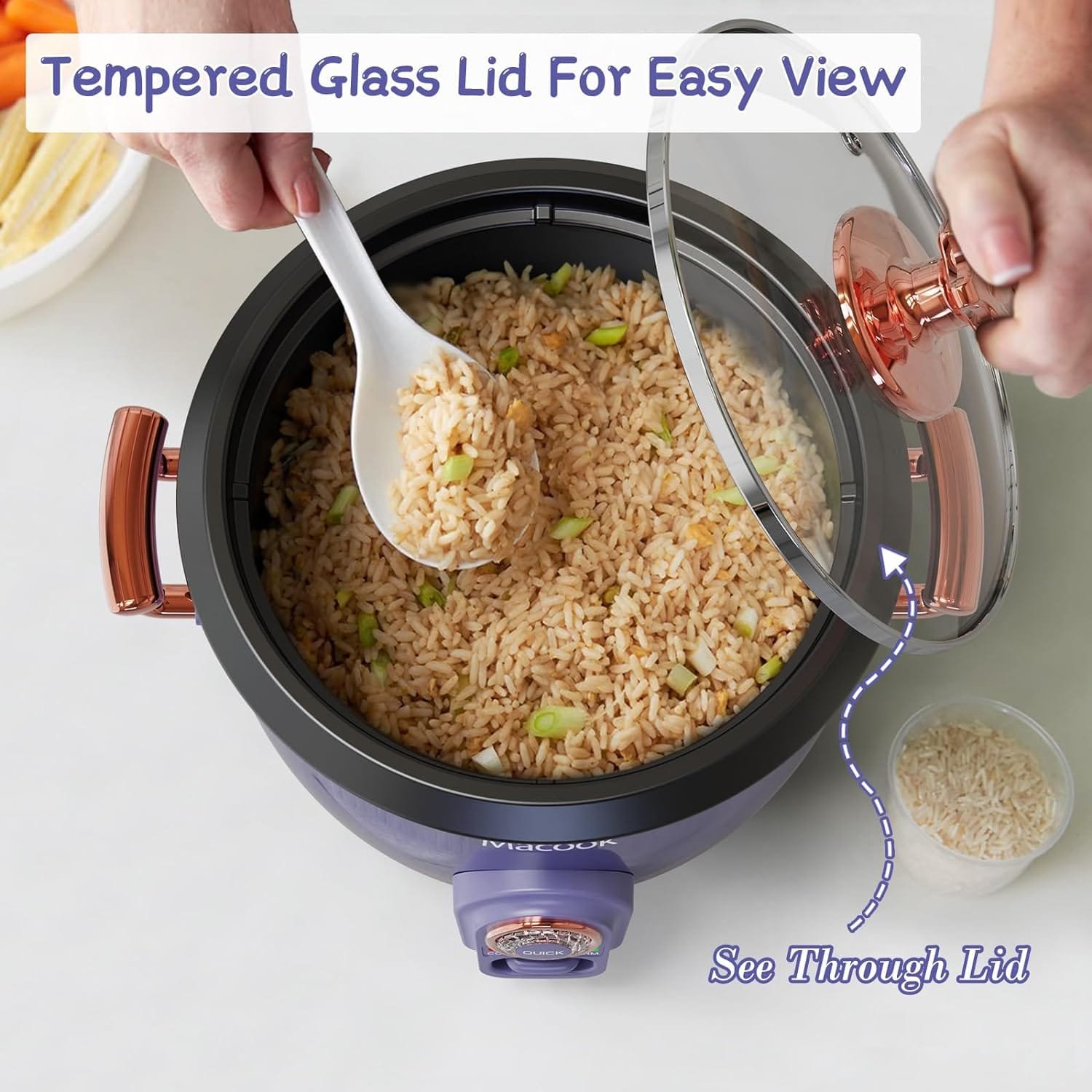 Rice Cooker Small with Food Steamer, Rice Cooker 4 Cups Uncooked (8 Cups Cooked), 2.0L Portable Non-Stick Small Travel Rice Cooker, Two Cooking Mode Setting, Slow Cook Mode