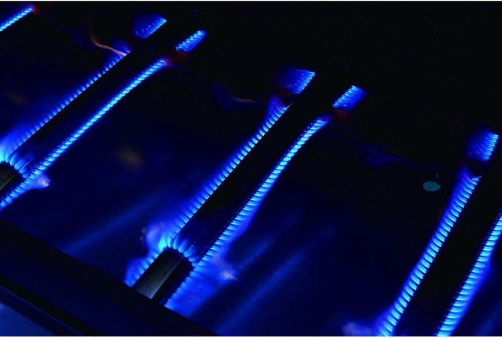 Royal Gourmet Event 8-Burner BBQ Propane Gas Grill with Cover, Picnic or Camping Outdoor