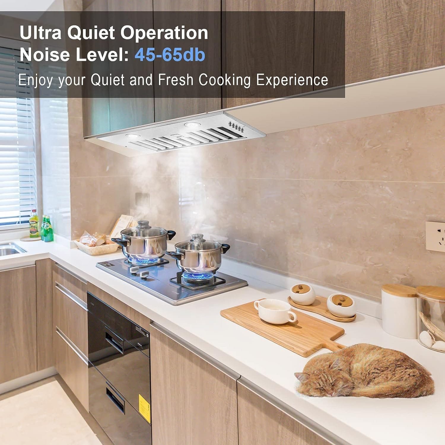 Zomagas Range Hood Insert 20 Inch, Built-in Kitchen Hood 600CFM, Ducted/Ductless Convertible Stove Hood with Stainless Steel Baffle filter, Vent Hood Insert with 3 Speed Fan, Replaceable LED Lights