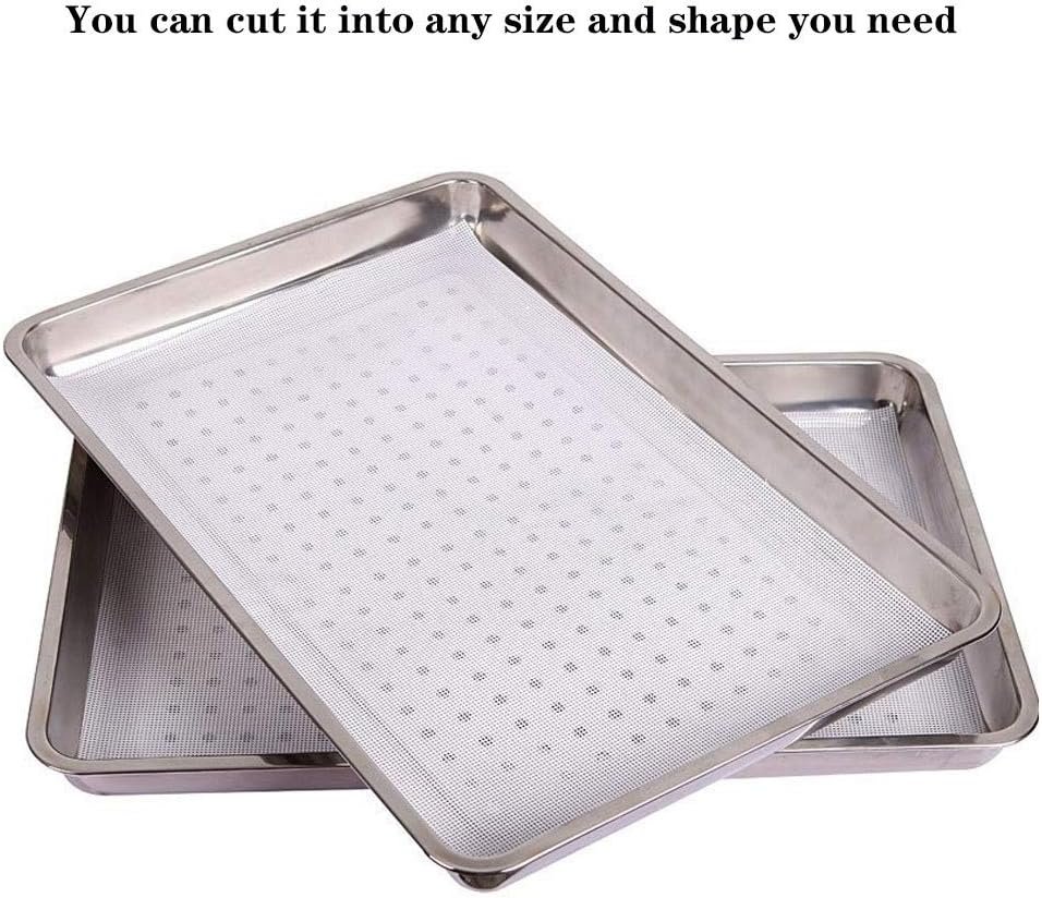 5 Pieces Square Silicone Dehydrator Sheets,15.7 x 15.7 Non-stick Fruit Dehydrator Mats,Reusable Steamer Mesh Mat Baking Mats for Fruit Dryer