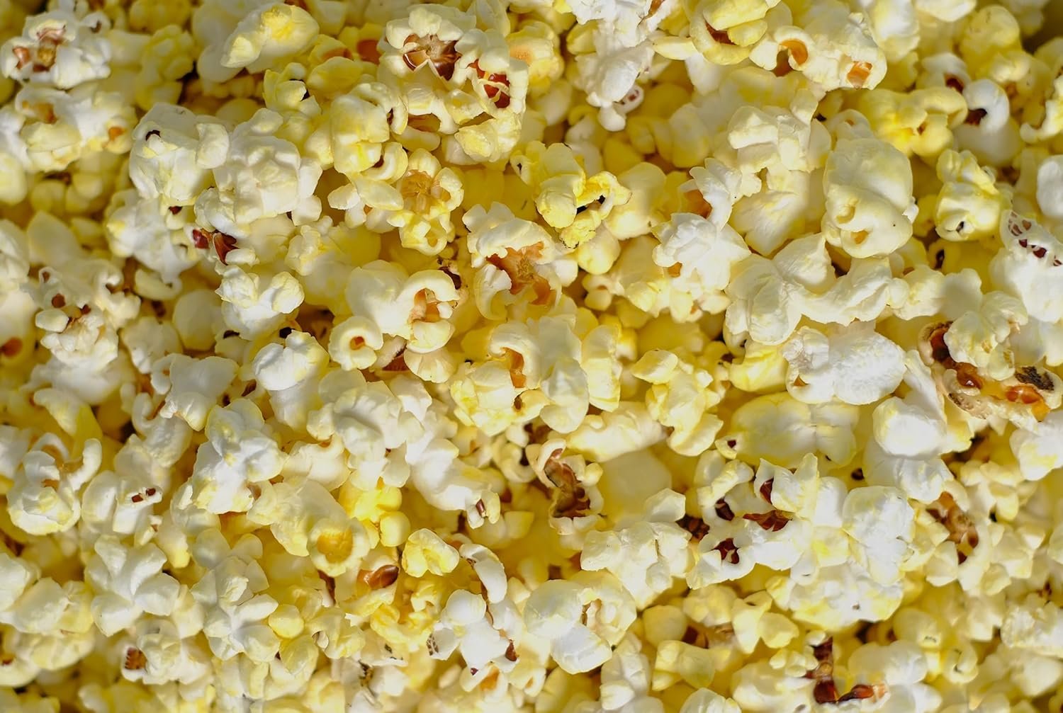 Amish Country Popcorn | Collapsible Silicone Microwave Popper with Customized ACP Logo | BPA and PVC Free Popcorn Bowl with Handles | Dishwasher Safe | Includes 2-2 oz Bags of Kernels (Blue)