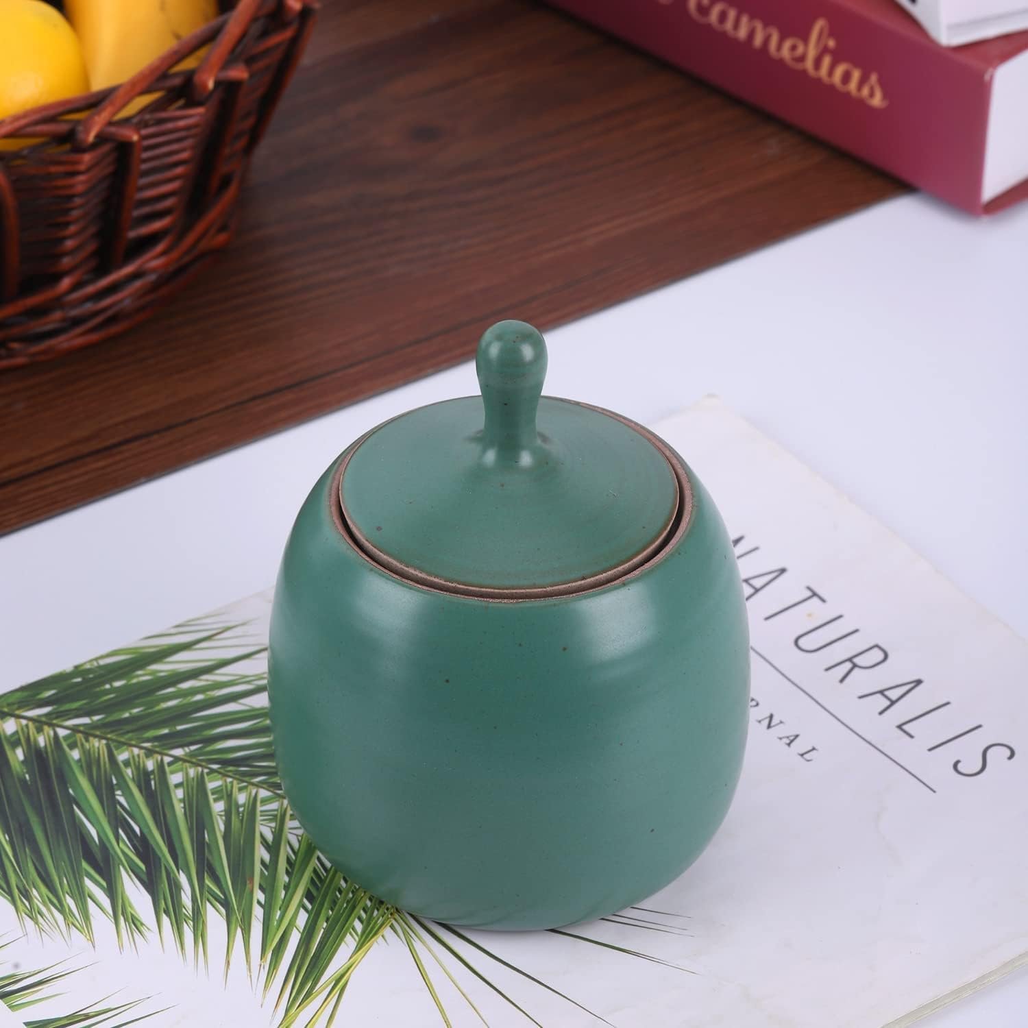 Amoysanli Kitchen Canisters Vintage Ceramic Food Storage Jar with Airtight Lid for Tea, Coffee, Herb, Sugar, Spice, Nuts (Ancient Green) Amoysanli Kitchen Canisters Vintage Ceramic Food Storage Jar with Airtight Lid for Tea, Coffee, Herb, Sugar, Spice, Nuts (Ancient Green)