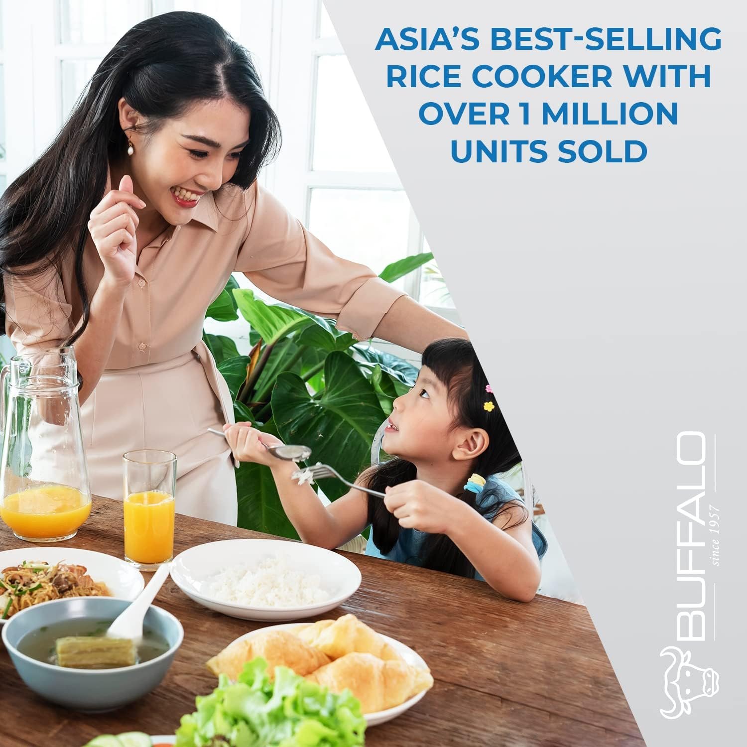 Buffalo Classic Rice Cooker with Clad Stainless Steel Inner Pot (10 cups) - Electric Rice Cooker for White/Brown Rice, Grain - Easy-to-clean, Non-Toxic  Non-Stick, Auto Warmer