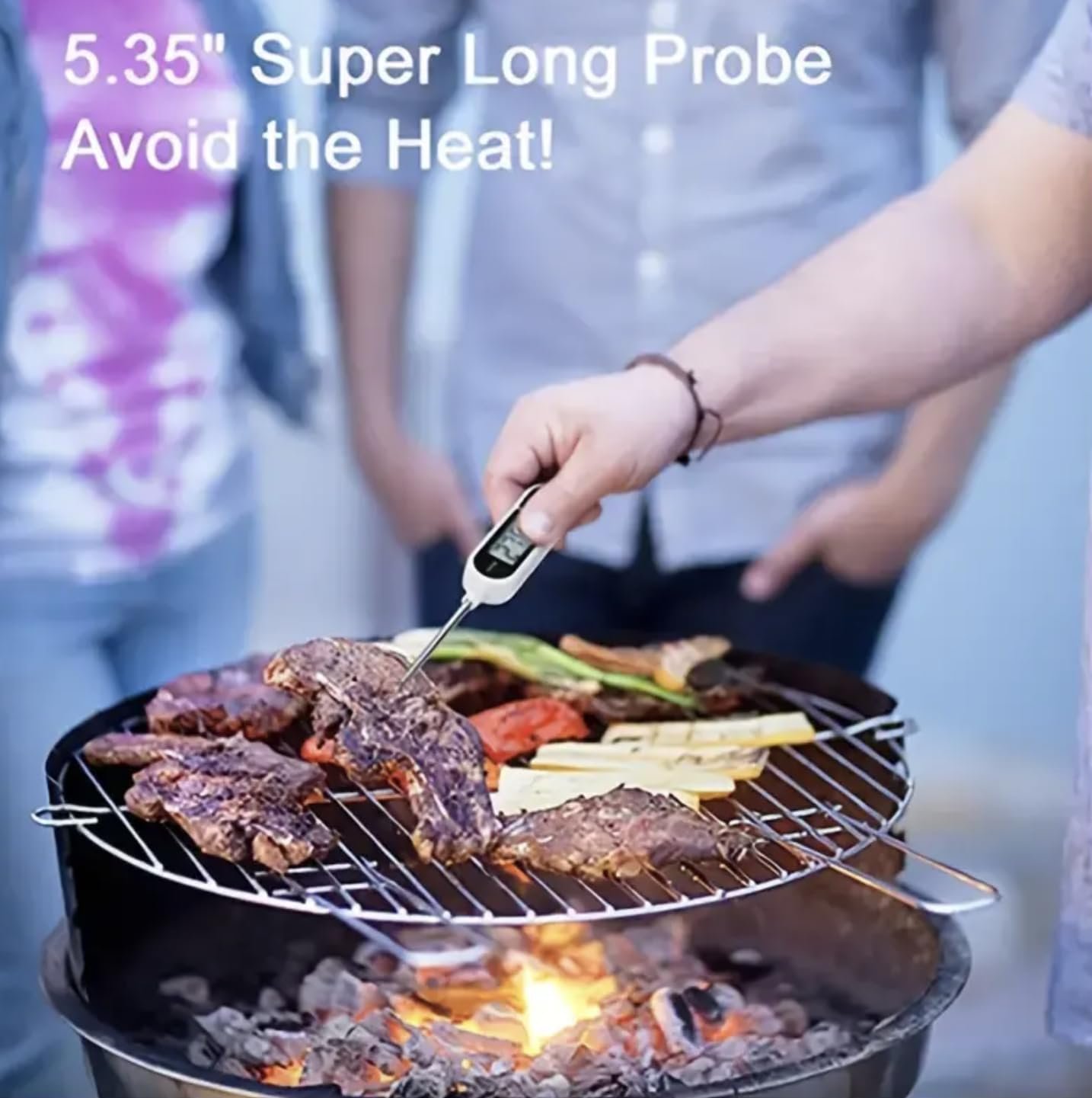 Digital Kitchen Thermometer - Rapidly Measures Mean Temperature for Cooking, BBQ, Grill, and Smoker and Candies by 21 Home