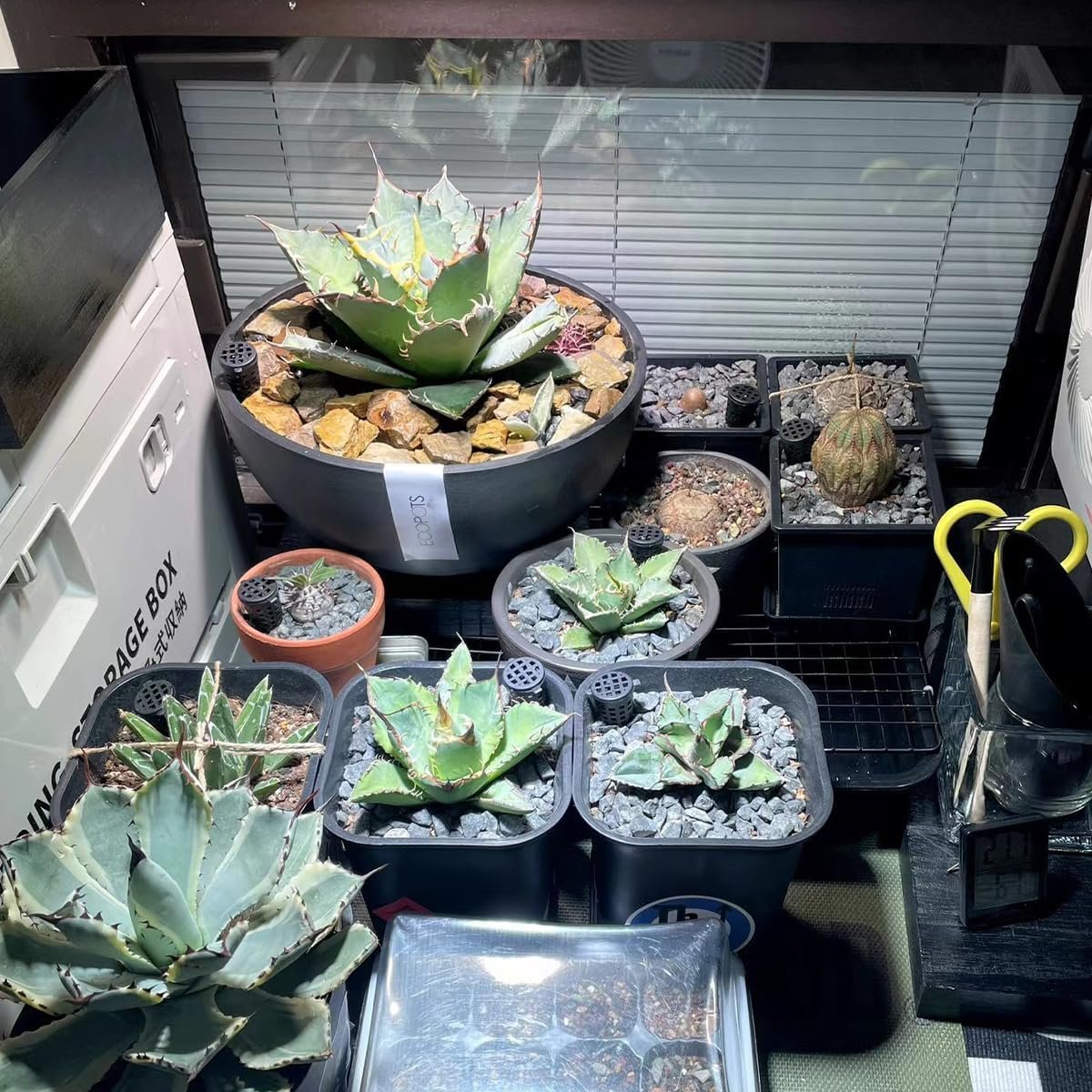 Multi-Functional Cooling Racks - Baking Cooling Racks - Cookie Cooling Racks for Kitchen, Grill Cooling Rack for, Baking Meat, Great for Cooling Biscuits/Bread/Paper Cups Cakes (1PCS 11x9.8)