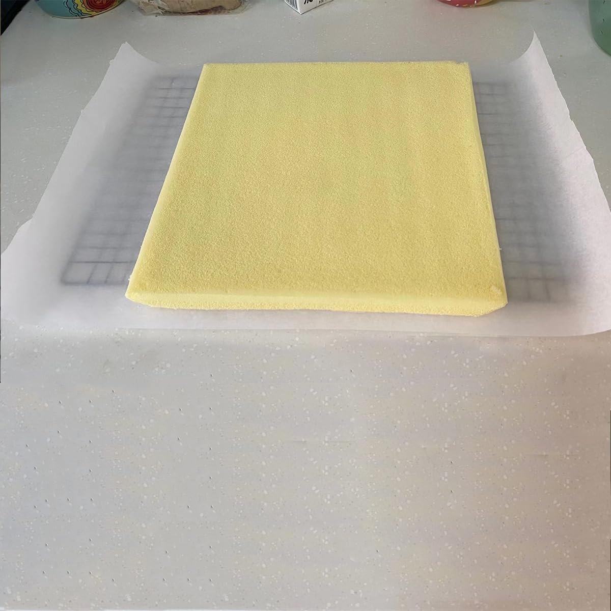 Multi-Functional Cooling Racks - Baking Cooling Racks - Cookie Cooling Racks for Kitchen, Grill Cooling Rack forBaking Meat, Great for Cooling Biscuits/Bread/Paper Cups Cakes (2PCS 15.7x9.8)