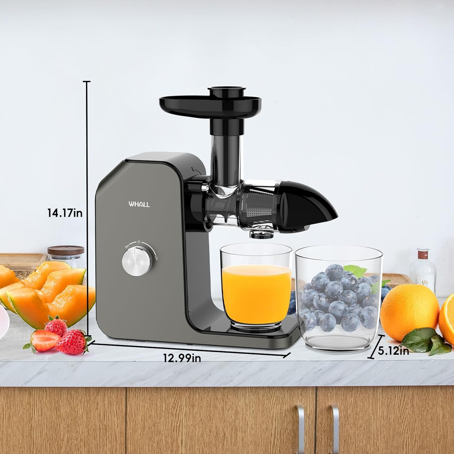 Slow Juicer, Masticating Juicer, Celery Juicer Machines, Cold Press Juicer Machines Vegetable and Fruit, Juicers with Quiet Motor  Reverse Function, Easy to Clean with Brush, Grey